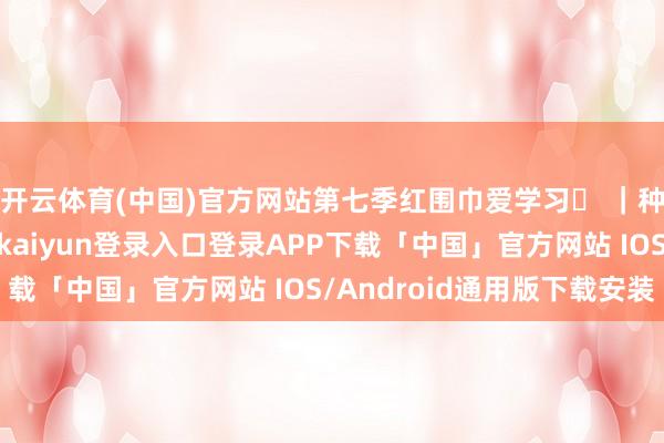 开云体育(中国)官方网站第七季红围巾爱学习⑬ ｜种子的南繁之旅-开云kaiyun登录入口登录APP下载「中国」官方网站 IOS/Android通用版下载安装