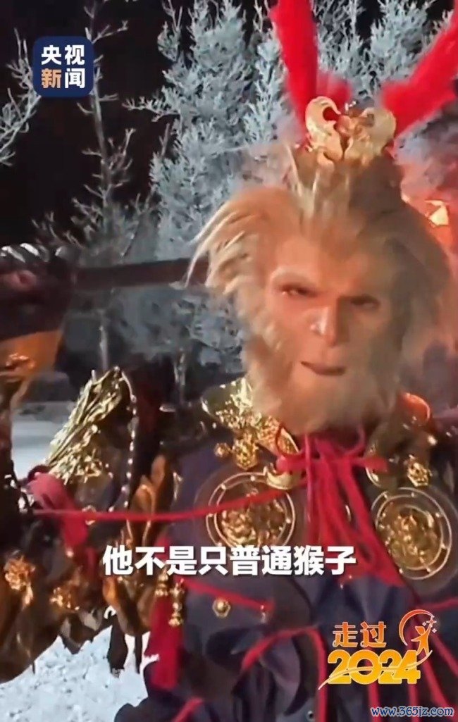 2024那些充满人命力的短暂！