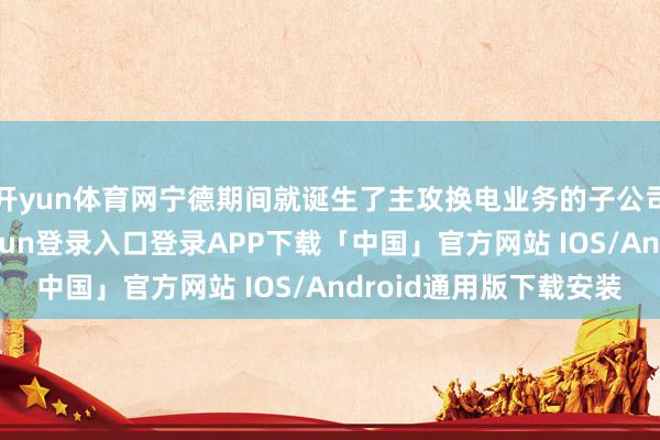 开yun体育网宁德期间就诞生了主攻换电业务的子公司期间电服-开云kaiyun登录入口登录APP下载「中国」官方网站 IOS/Android通用版下载安装