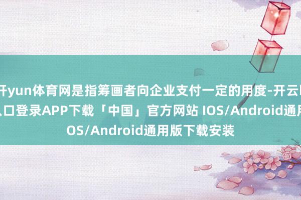 开yun体育网是指筹画者向企业支付一定的用度-开云kaiyun登录入口登录APP下载「中国」官方网站 IOS/Android通用版下载安装