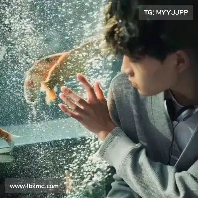 龙禹珑